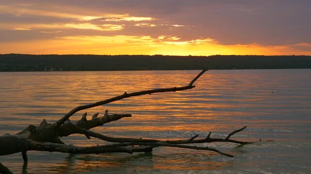 Abgestorbener Baumstamm lieg im Wasser, Sonnenuntergang am Ammersee, Zeitraffer, Timelapse, Oberbayern, Bayern, Deutschland