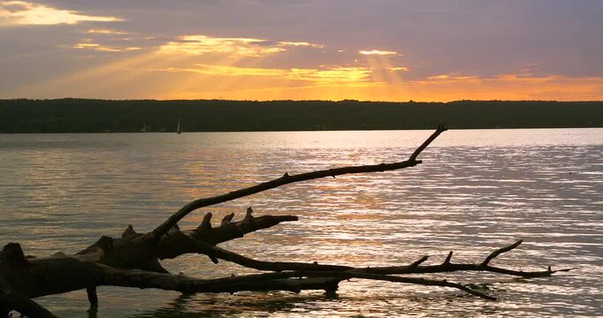Abgestorbener Baumstamm lieg im Wasser, Sonnenuntergang am Ammersee, Oberbayern, Bayern, Deutschland