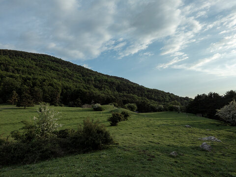 Lush green meadow under cloudy blue sky in mountains
