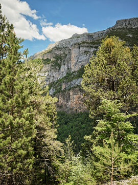 Pyrenees mountains with forest and rocky cliffs