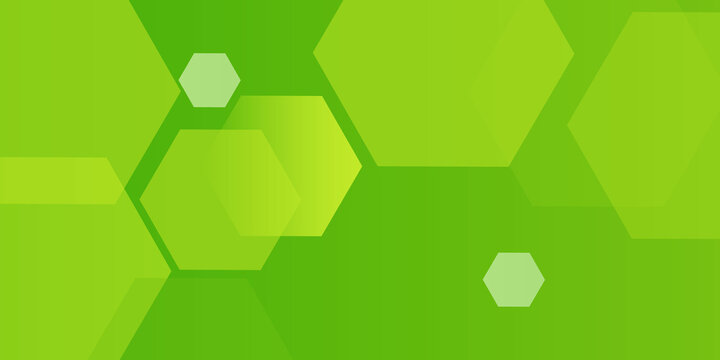 Abstract colorful hexagonal pattern background with green element color design. Trendy shapes geometric banner modern