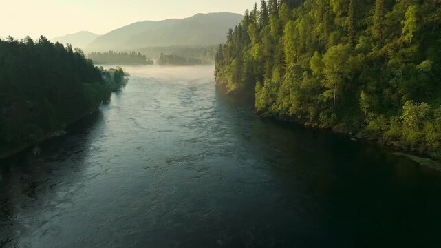 Aerial view of misty river flanked by dense green forests. Mountains loom softly in background. Calm waters reflect golden morning light. Peaceful scene evokes serenity and natural beauty