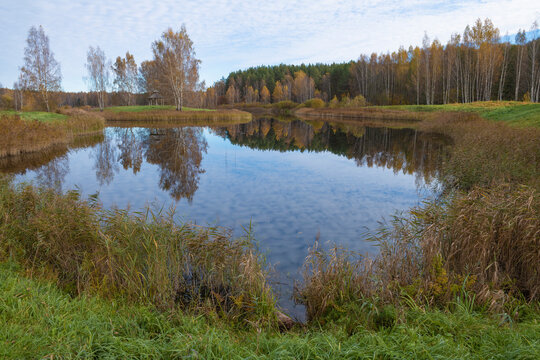 Gannibal pond on an October morning. Petrovskoye Estate, Pushkinskiye Gory. Pskov Oblast, Russia