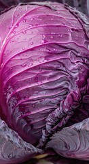 Obraz premium Close-up macro shot of a fresh ripe red cabbage showcasing detailed purple leaves, natural textures, organic patterns, and waxy surface, fresh, head, cross-section