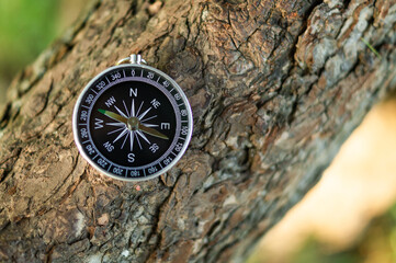 Compass attached to a tree in nature, symbolizing navigation, direction, exploration and finding the right path. Outdoor travel and adventure concept with copy space. © marinasokolchik