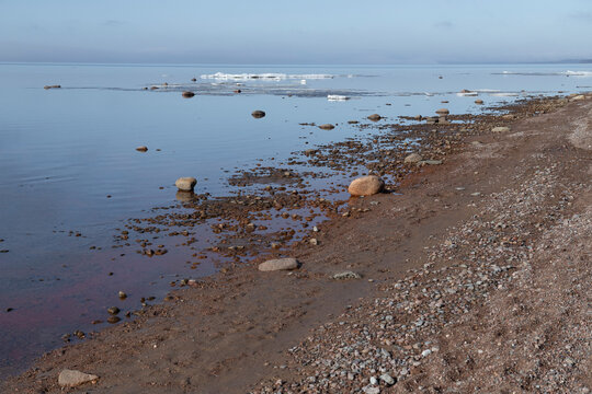 On the shore of the Gulf of Finland on an April morning. Komarovo, Leningrad region. Russia