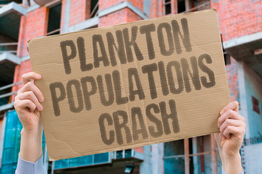 "Plankton Populations Crash" Marine food webs destabilize at foundation PHYTOPLANKTON. ZOOPLANKTON. PRODUCTIVITY. OXYGEN. ECOSYSTEM.