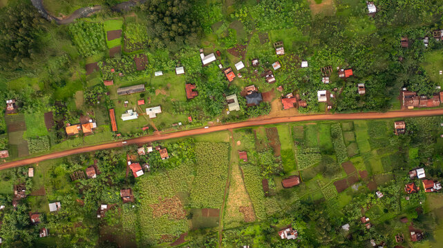 Aerial view of scattered houses, lush green agricultural plots, and a dirt road winding through the rural landscape of Bududa, Eastern Region, Uganda.