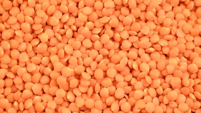 Red lentils close-up, top view, rotating 