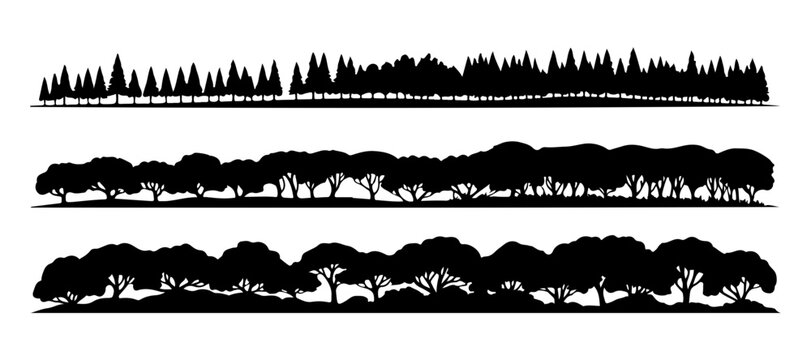 Dense forest panorama silhouette with mixed evergreen and deciduous trees for nature backgrounds.