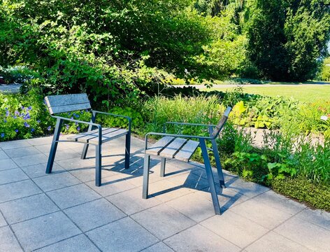 a park bench in summer