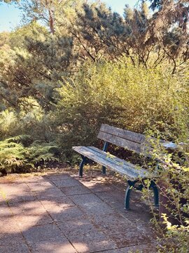 a park bench in summer