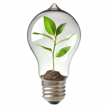 Green Plant Growing Inside Light Bulb Isolated on Transparent Background