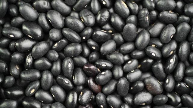 Black beans close-up, top view, rotating