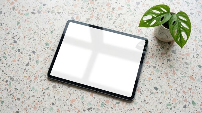 Modern blank digital tablet screen resting on speckled stone surface with small green potted monstera plant for creative office workspace.