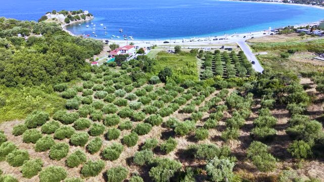 Aerial view of Toroni in Sithonia, Halkidiki, Greece, showing a busy Mediterranean beach with turquoise crystal-clear water, swimmers, sunbeds and beachfront hotels on a sunny summer day.