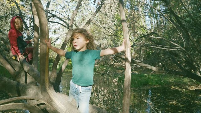 Two boys climbing a fallen tree together over a pond in an autumn park