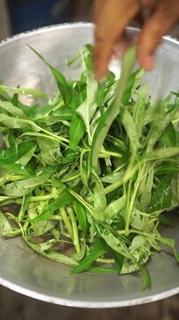 Cooking Thai stir-fried morning glory with Chu Hou sauce (Phad Pak Boong). Blanching fresh water spinach in oil and water, sauteing minced garlic and fresh chilies with savory Chu Hou sauce