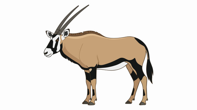 African Oryx Gemsbok Antelope with Long Horns and Distinctive Markings Isolated on White Background Graphic
