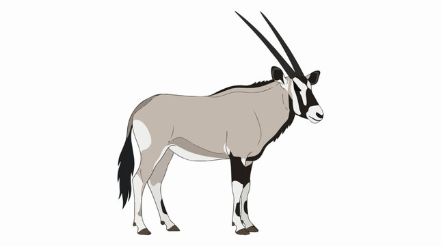 Detailed Gemsbok Antelope Oryx Standing Side View Profile African Wildlife Safari Nature Design Elements