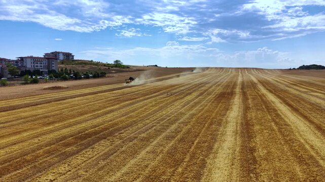 Harvesting machines and straw rows across a golden grain field
