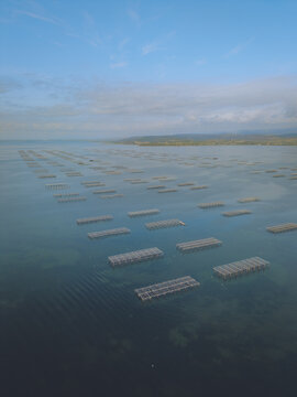 Aerial view of oyster farming structures in the Etang de Leucate lagoon with calm water under a clear blue sky in Leucate, Occitanie, France.