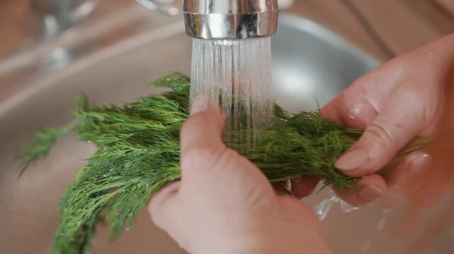 Close-up of hands holding and agitating bunch of fresh dill under steady stream from chrome faucet above stainless steel sink; visible downward water flow creates droplets and splashes while fingers