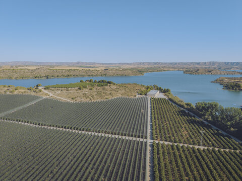Aerial view of Finca El Pino featuring extensive fruit orchards and agricultural fields situated along the banks of a large reservoir under a clear blue sky Caspe, Aragon, Spain.