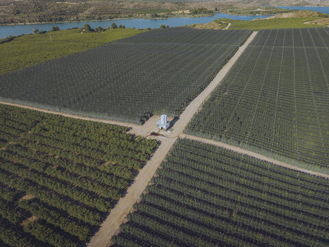 Aerial view of Finca El Pino featuring vast fruit orchards with protective netting, a central irrigation structure, and dirt access roads near a reservoir in Caspe, Aragon, Spain.