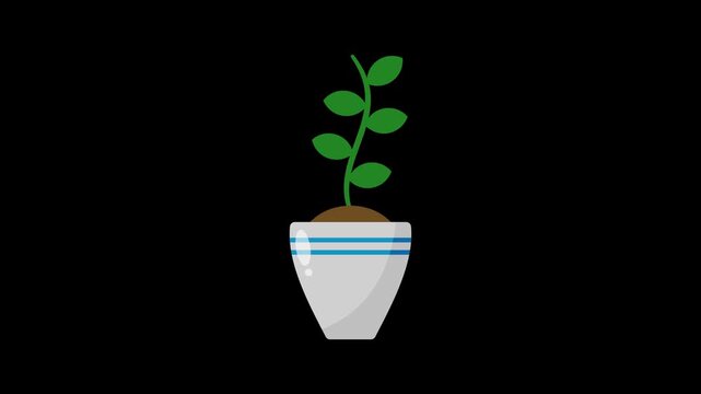 Organic Vector Potted Plant Graphic with Elastic Leaf Flutter on Alpha Channel