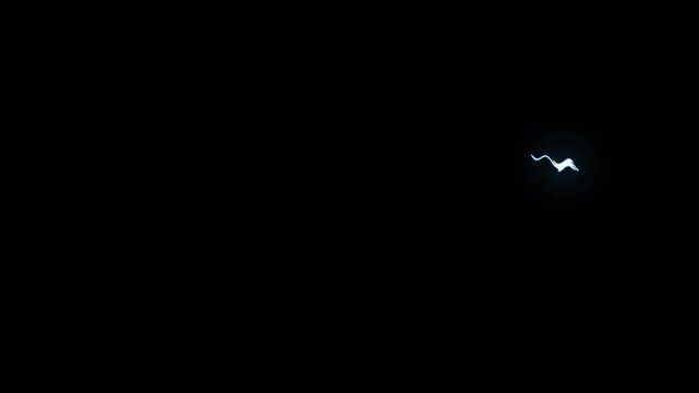 Animated storm lightning bolt overlay transition with powerful thunder strikes, cartoon lightning energy burst flash fx animation, hand drawn storm explosion boom on black background, 4k animation.