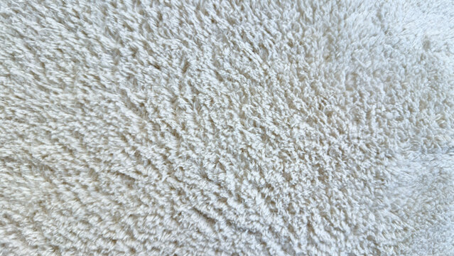 plush ivory shag rug texture macro closeup soft cozy fiber detail for web design advertising wellness branding