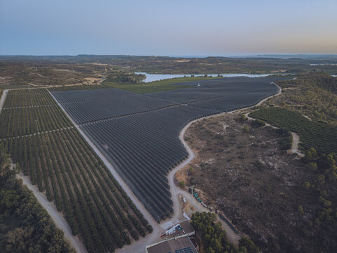 Aerial view of Finca El Pino featuring extensive agricultural fields covered with protective netting, surrounded by rolling hills and a nearby reservoir in Caspe, Aragon, Spain.