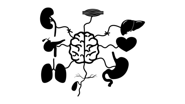 Autonomic dysregulation, black isolated vector silhouette