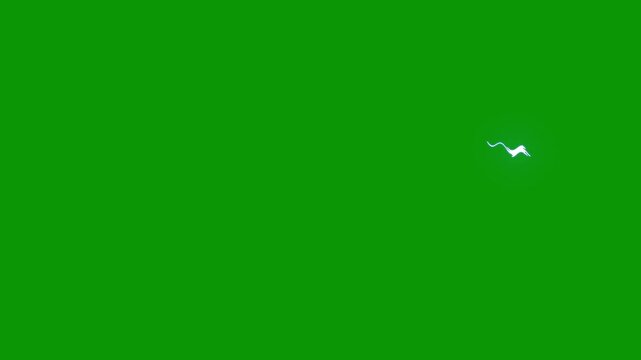 Animated storm lightning bolt overlay transition with powerful thunder strikes, cartoon lightning energy burst flash animation, hand drawn storm explosion boom on green background, 4k animation.