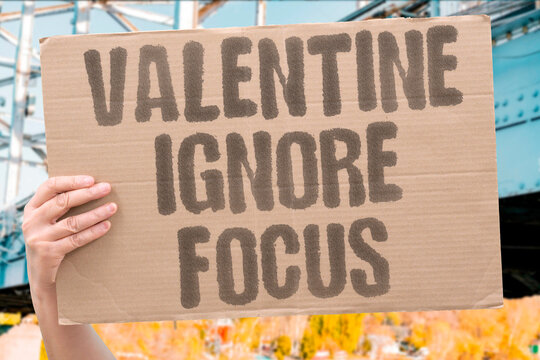 "Valentine Ignore Focus" The manufactured holiday passes without remark. GREY. IGNORE. MANUFACTURE. PASS. QUIET.