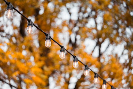 Outdoor string light bulbs on golden autumn foliage with soft bokeh background. Cozy seasonal cafe and patio decor for fall festivals, Thanksgiving, Halloween, garden parties and outdoor celebrations.