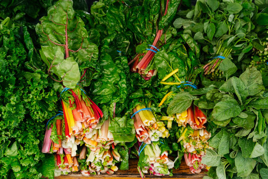 Bunches of colorful chard