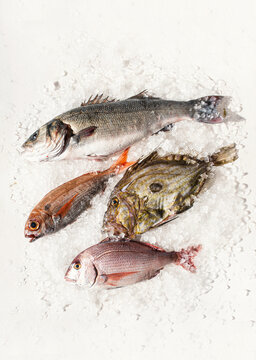 Assorted fresh raw whole fish displayed on crushed ice