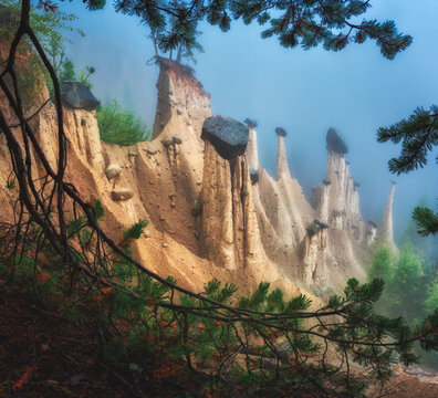 Earth pyramids of Platten rock formations surrounded by fog in autumn. Dolomites, Italy. Geological natural erosion misty landscape with tall soil pillars, capstones, pine branches on mountain slope