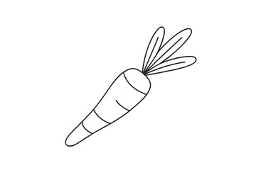 Obraz premium carrot outline illustration isolated on white background in a hand drawn botanical style.