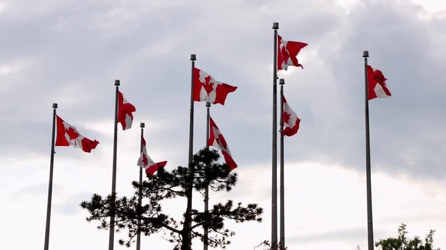 Canadian flags waving on flagpoles against overcast sky in Ottawa, Canada