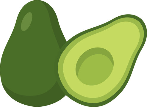 Avocado Fruit Vector Illustration with Whole and Halved Green Organic Superfood for Healthy Eating and Food Graphics