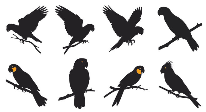 Collection of parrot silhouettes in various poses on branches with eight black silhouettes parrots different positions some perched branches others flight