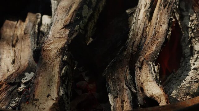 Close-up of Campfire Logs Burning and Smoking in Fire Pit Outdoor
