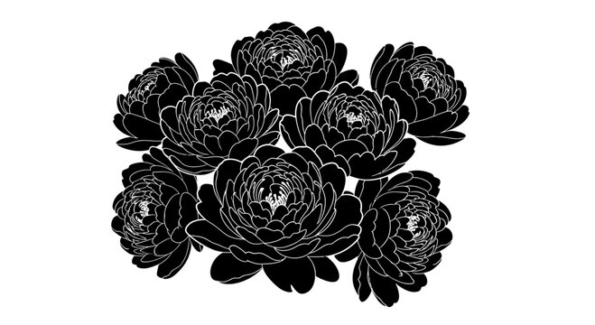 Black and white peony floral illustration with illustration bouquet peonies stylized black inspiration silhouette decorative botanical flowers
