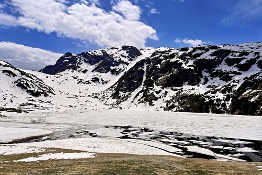 Ice floes drift in the half-frozen upper Murgsee, in the foreground, white flowering spring crocuses (Crocus vernus), Murg Valley, Canton of St. Gallen, Switzerland