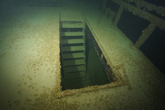 An open entrance on a shipwreck surrounded by water, covered with mussels, quagga triangle mussel (Dreissena rostriformis bugensis), invasive species, dive site wreck of the Jura, Lake Constance, Bottighofen, Switzerland, M&uuml;nsterlingen, Germany