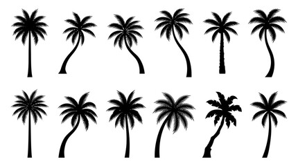 Fototapeta premium Collection of black palm tree silhouettes in varying shapes on a white background for tropical designs