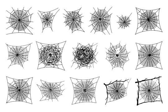 Collection of intricate spider web designs on white background.